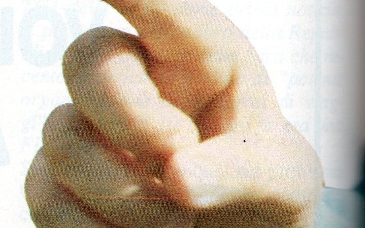 AVINEWS 309: SI FA INTENSA LA FASE PREELETTORALE NELLA FIAVET. INTANTO, NOVITÀ TECNOLOGICHE DAGLI USA